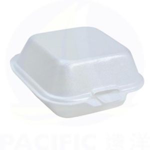 6" X 6"1-COMPARTMENT FOAM LUNCH BOX SUNNY-HINGED-PLASTIFAR