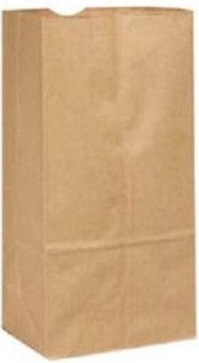 4LB PAPER BAGS BROWN KRAFT - DURO -1 X 500PCS 500CT #108